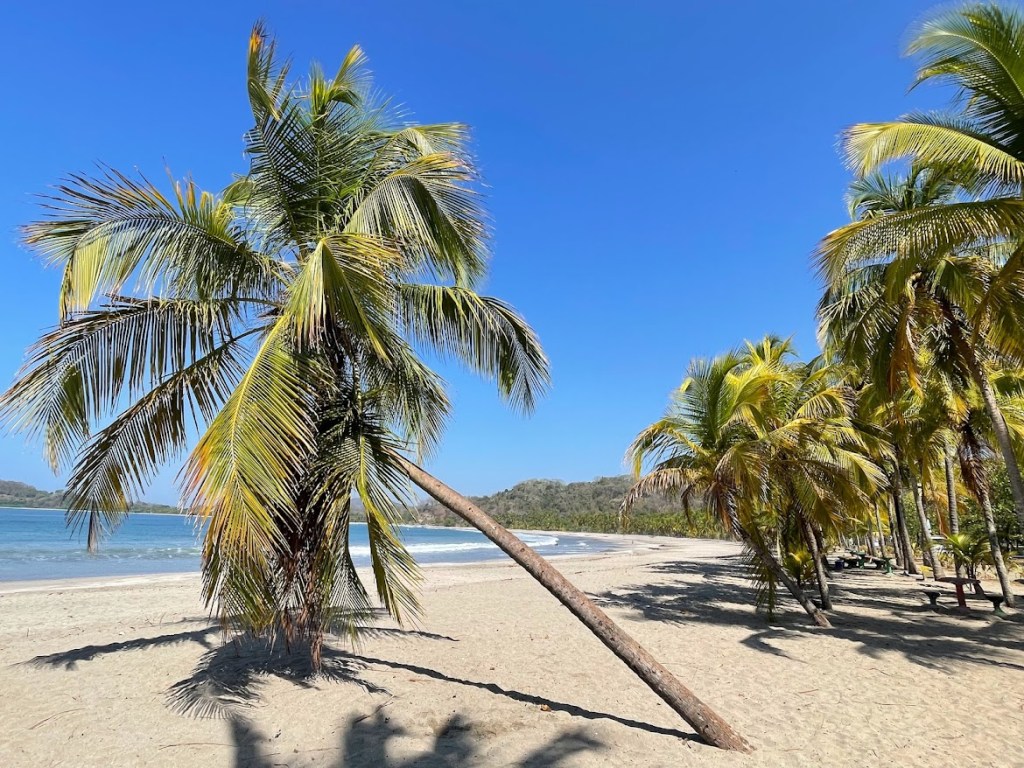 Cecropia Travel’s Top Picks: Best Destinations in Costa Rica – Part&nbsp;1