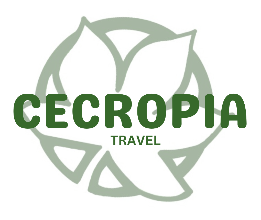 Cecropia Travel Blogs