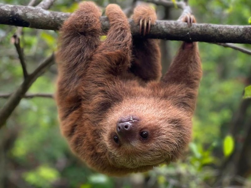 16 Important Things To Know Before Travelling To Costa&nbsp;Rica