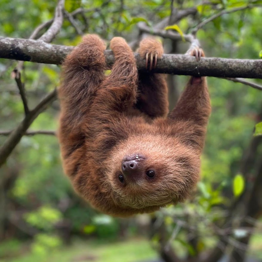 16 Important Things To Know Before Travelling To Costa&nbsp;Rica